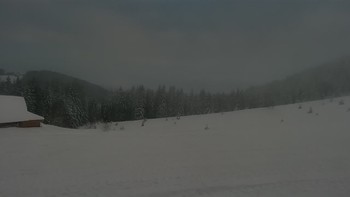 Буковель 22 грудня 2021 року, 2021-12-22 16:00