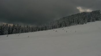 Буковель 24 грудня 2021 року, 2021-12-24 13:00
