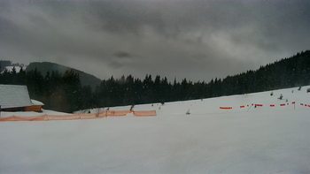Буковель 4 січня 2022 року, 2022-01-04 10:00