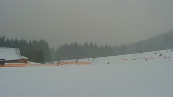 Буковель 20 січня 2022 року, 2022-01-20 13:00