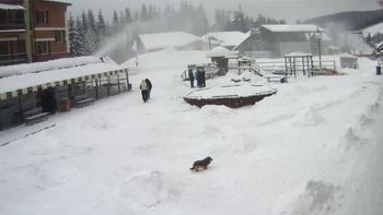 Буковель 28 листопада 2018 року, 2018-11-28 13:00