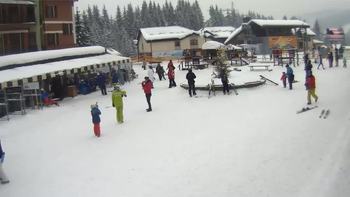 Буковель 20 січня 2019 року, 2019-01-20 10:00