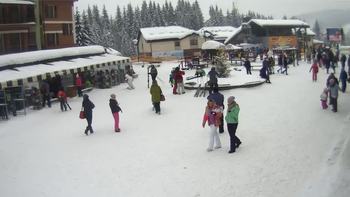 Буковель 24 січня 2019 року, 2019-01-24 13:00