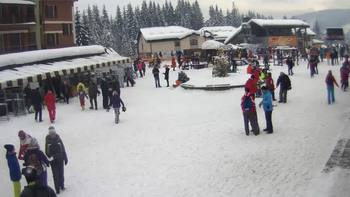 Буковель 25 січня 2019 року, 2019-01-25 13:00