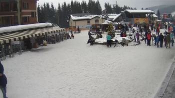 Буковель 29 січня 2019 року, 2019-01-29 13:00