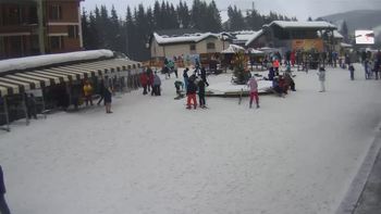 Буковель 29 січня 2019 року, 2019-01-29 16:00