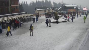 Буковель 11 лютого 2019 року, 2019-02-11 16:00