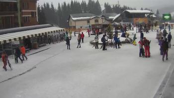 Буковель 20 лютого 2019 року, 2019-02-20 10:00