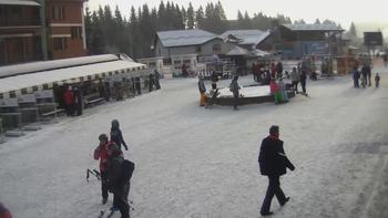 Буковель 20 січня 2020 року, 2020-01-20 10:00