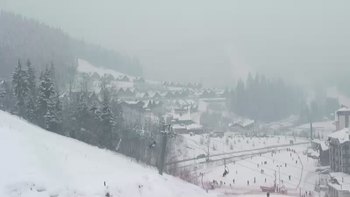 Буковель 20 січня 2019 року, 2019-01-20 13:00