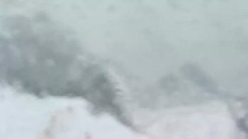 Буковель 23 січня 2019 року, 2019-01-23 10:00