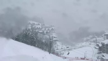 Буковель 24 січня 2019 року, 2019-01-24 16:00