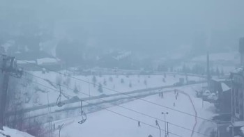Буковель 11 лютого 2019 року, 2019-02-11 16:00