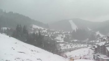 Буковель 29 січня 2021 року, 2021-01-29 16:00