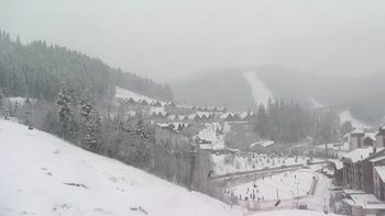Буковель 31 січня 2021 року, 2021-01-31 10:00