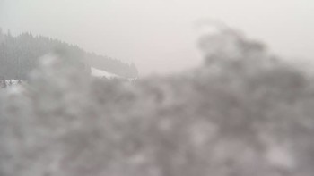 Буковель 23 січня 2022 року, 2022-01-23 13:00