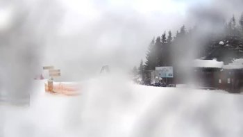 Буковель 17 січня 2019 року, 2019-01-17 16:00