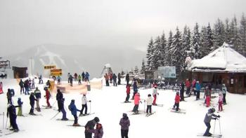 Буковель 23 січня 2019 року, 2019-01-23 10:00