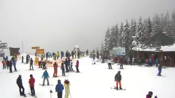 Буковель 27 січня 2019 року, 2019-01-27 13:00