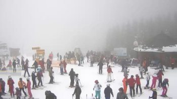 Буковель 29 січня 2019 року, 2019-01-29 13:00