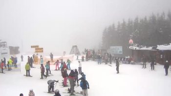 Буковель 30 січня 2019 року, 2019-01-30 16:00