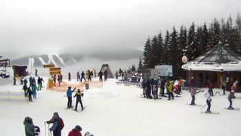 Буковель 31 січня 2019 року, 2019-01-31 10:00