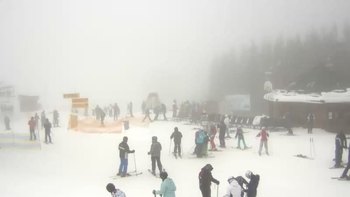 Буковель 31 січня 2019 року, 2019-01-31 13:00