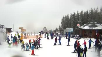 Буковель 11 лютого 2019 року, 2019-02-11 13:00