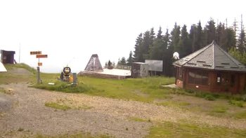 Буковель 17 червня 2019 року, 2019-06-17 16:00