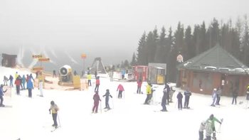Буковель 9 січня 2020 року, 2020-01-09 10:00