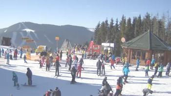 Буковель 21 січня 2020 року, 2020-01-21 13:00
