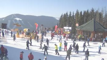 Буковель 25 січня 2020 року, 2020-01-25 13:00