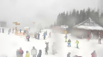 Буковель 31 січня 2020 року, 2020-01-31 13:00