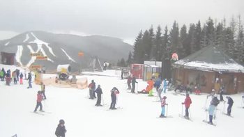 Буковель 31 січня 2020 року, 2020-01-31 16:00