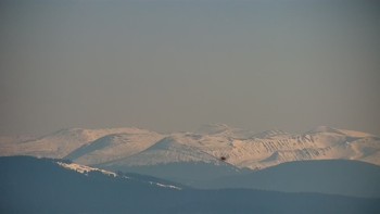 Буковель 8 квітня 2020 року, 2020-04-08 16:00