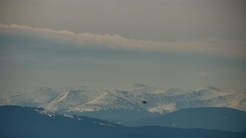 Буковель 17 квітня 2020 року, 2020-04-17 10:00