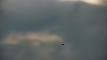 Буковель 20 липня 2020 року, 2020-07-20 10:00