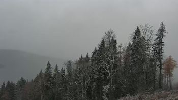 Буковель 20 листопада 2020 року, 2020-11-20 13:00