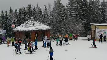 Буковель 29 січня 2021 року, 2021-01-29 16:00