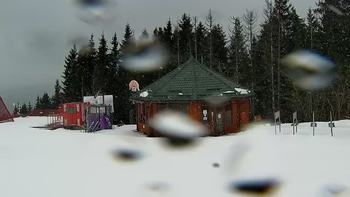 Буковель 14 березня 2021 року, 2021-03-14 10:00