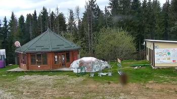 Буковель 25 травня 2021 року, 2021-05-25 13:00