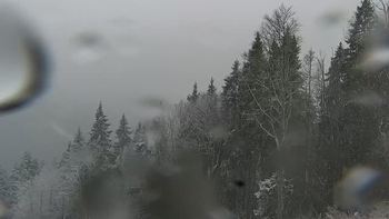 Буковель 2 грудня 2021 року, 2021-12-02 10:00