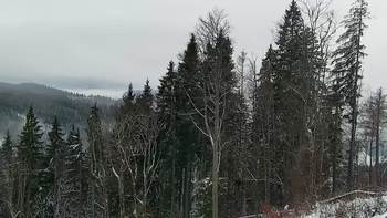 Буковель 6 грудня 2021 року, 2021-12-06 13:00