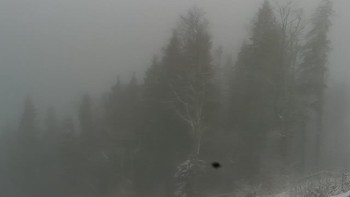 Буковель 9 грудня 2021 року, 2021-12-09 10:00