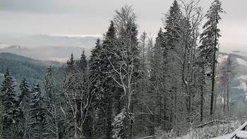 Буковель 14 грудня 2021 року, 2021-12-14 16:00