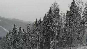 Буковель 16 грудня 2021 року, 2021-12-16 10:00