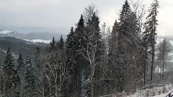 Буковель 17 грудня 2021 року, 2021-12-17 13:00