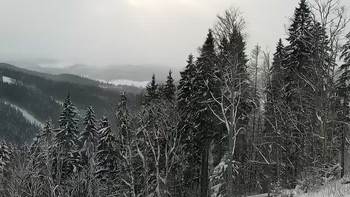 Буковель 21 грудня 2021 року, 2021-12-21 10:00