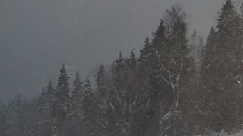 Буковель 25 грудня 2021 року, 2021-12-25 16:00