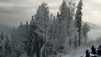 Буковель 28 грудня 2021 року, 2021-12-28 13:00